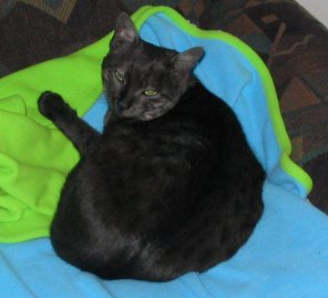 caligula and his blanket
